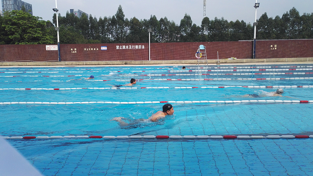 2017游泳比赛