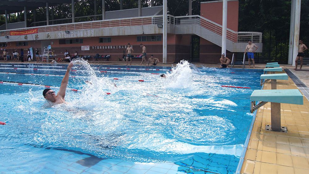 2017游泳比赛