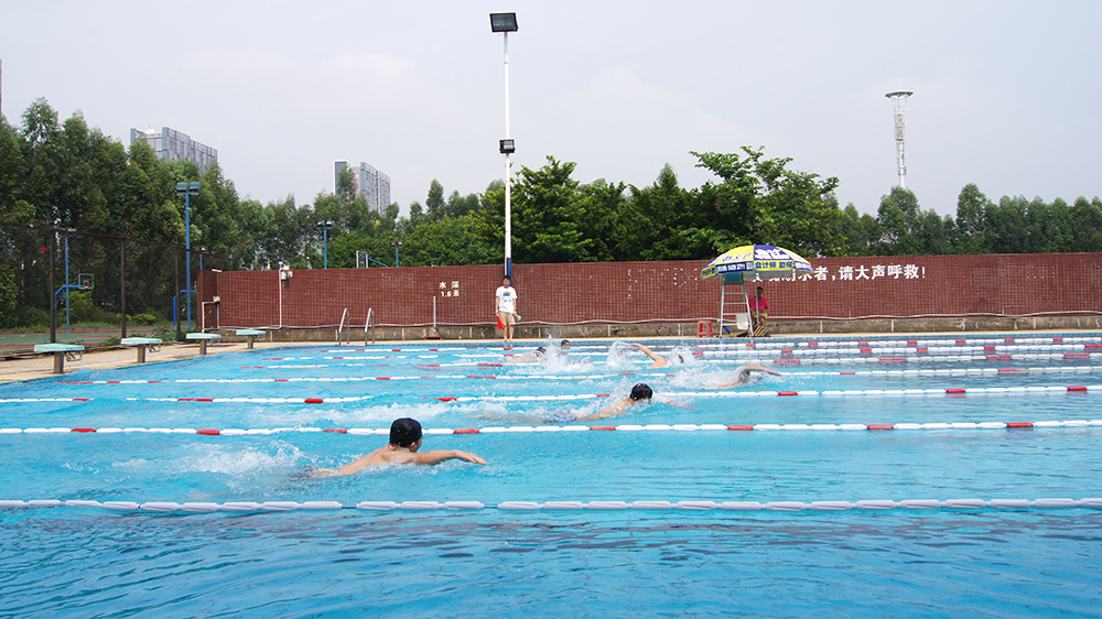 2016游泳比赛