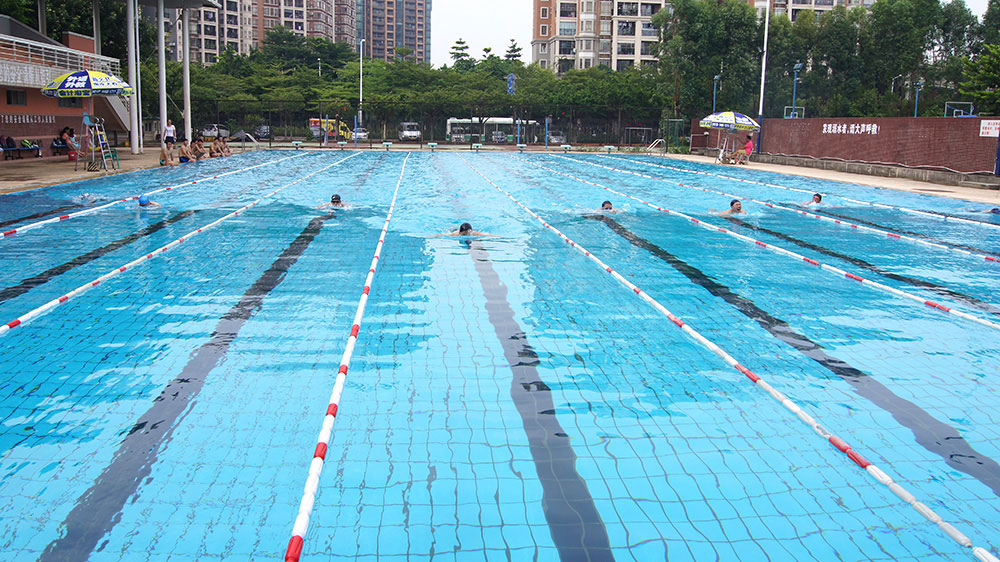 2016游泳比赛